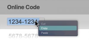 Copy your code
